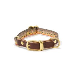 Whiskey Leatherworks Webbing Fish Print Dog Collar in Cutthroat Trout